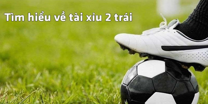Luật cá độ kèo tài xỉu 2 trái chi tiết nhất dành cho newbie 
